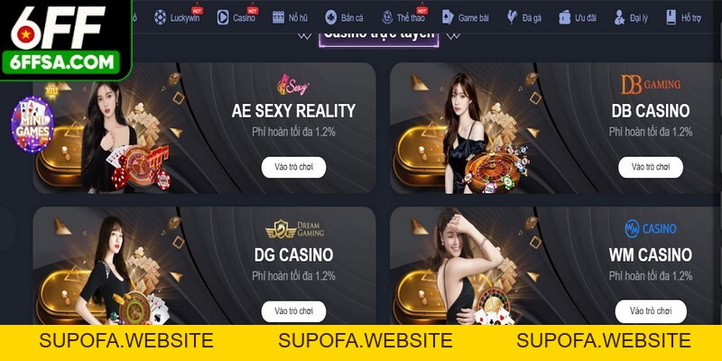 Quá trình trải nghiệm luôn được giám sát chặt chẽ