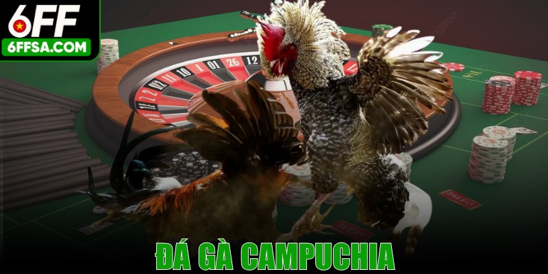 Đá Gà Campuchia - Hình Thức Giải Trí Hấp Dẫn Của Người Việt