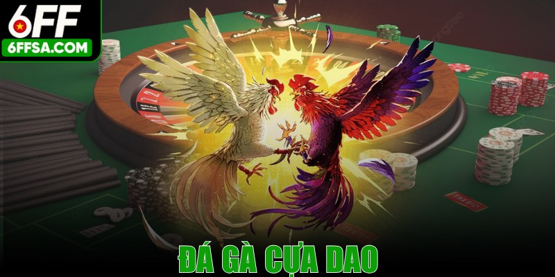 Đá Gà Cựa Dao - Môn Cá Cược Đỉnh Cao Thu Hút Nhiều Sư Kê