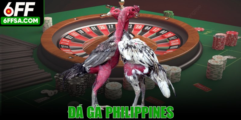 Đá Gà Philippines - Hình Thức Cá Cược Thú Vị Không Thể Bỏ Lỡ