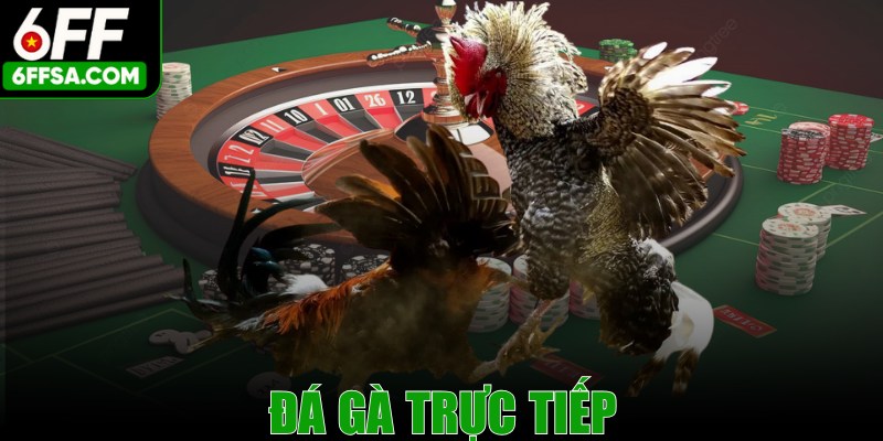 Đá Gà Trực Tiếp - Trải Nghiệm Cá Cược Bùng Nổ Nhất
