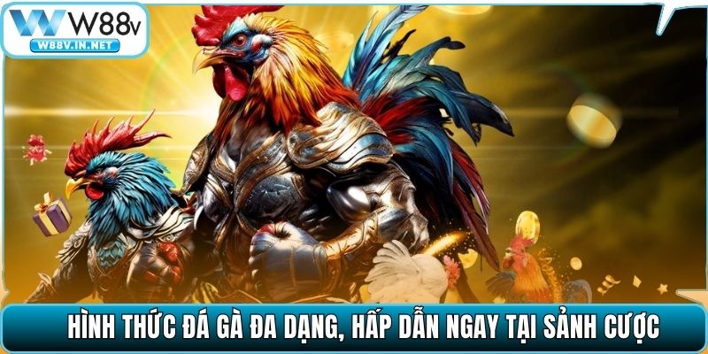 Đá Gà W88 – Đấu Trường Chọi Kê Đỉnh Cao Bậc Nhất Hiện Nay