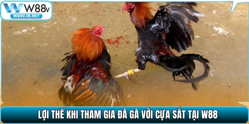 Đá Gà Cựa Sắt – Môn Cá Cược Chọi Kê Đỉnh Cao Tại W88