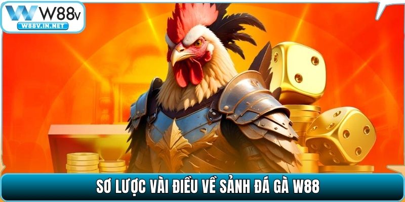 Đá Gà W88 – Đấu Trường Chọi Kê Đỉnh Cao Bậc Nhất Hiện Nay