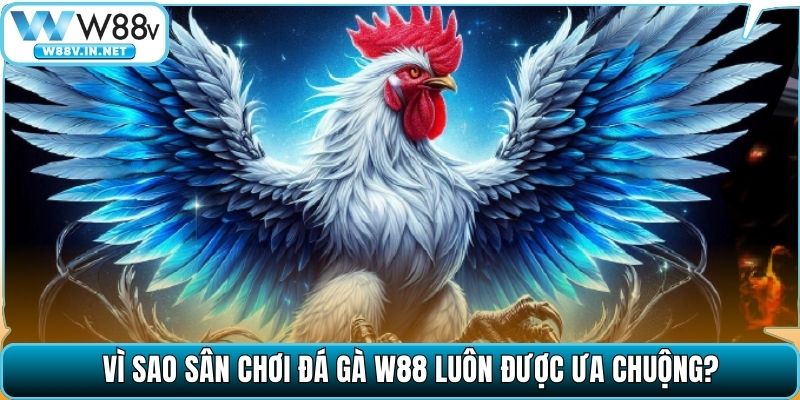 Đá Gà W88 – Đấu Trường Chọi Kê Đỉnh Cao Bậc Nhất Hiện Nay