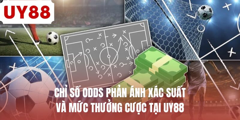 Cách Đọc Kèo Châu Âu - Chiến Thuật 1X2 Cơ Bản Cho Tân Thủ