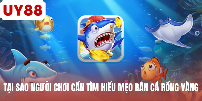 Mẹo Bắn Cá Rồng Vàng - Tìm Hiểu Bí Quyết Bất Bại